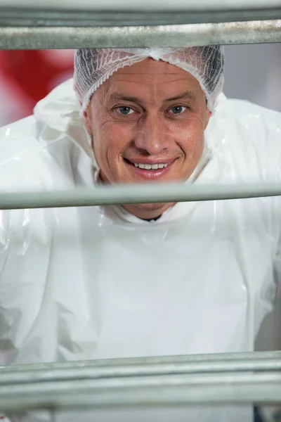 Butcher standing in meat factory — Stock Photo, Image