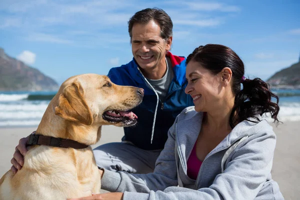 Sorrindo casal com seu cão de estimação — Fotografia de Stock