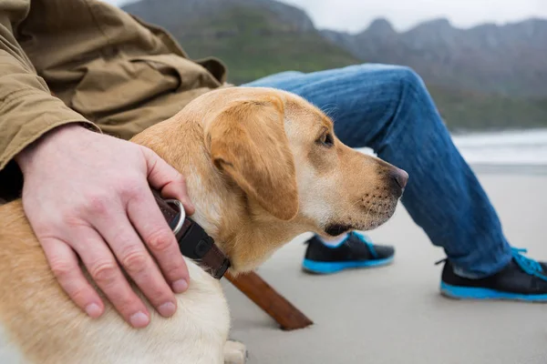 Επανδρώνει χέρι τοποθέτησης χαρτιού ταπετσαρίας σκύλο στην παραλία — Φωτογραφία Αρχείου