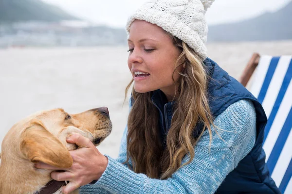 椅子に座って女性の贅沢な犬 — ストック写真