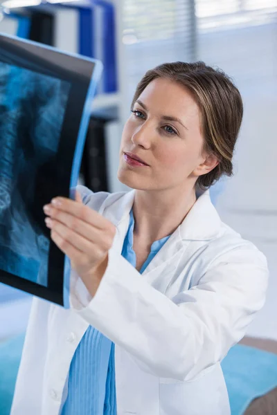 Kvinnliga läkare undersöka röntgen rapport — Stockfoto