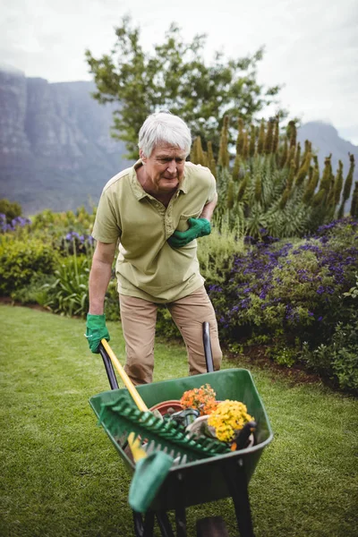 Starší muž trpí bolestí při zahradničení — Stock fotografie