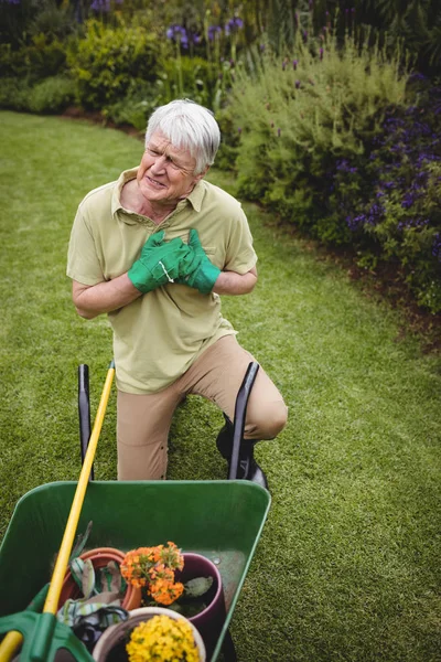 Старший чоловік страждає від болю під час садівництва — стокове фото