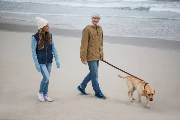 Pareja caminando con perro mascota — Foto de Stock