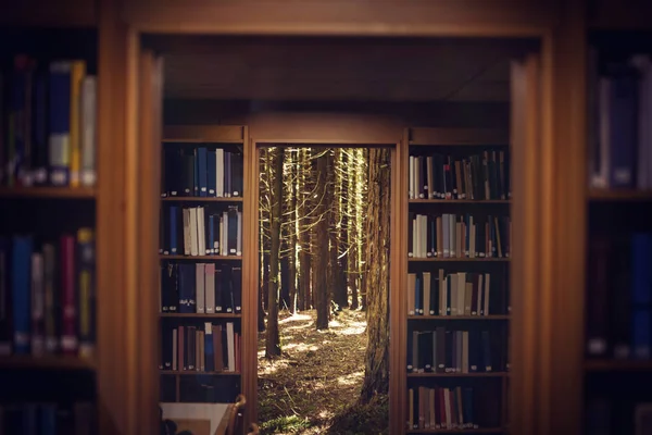 Bookshelves against trees — Stock Photo, Image
