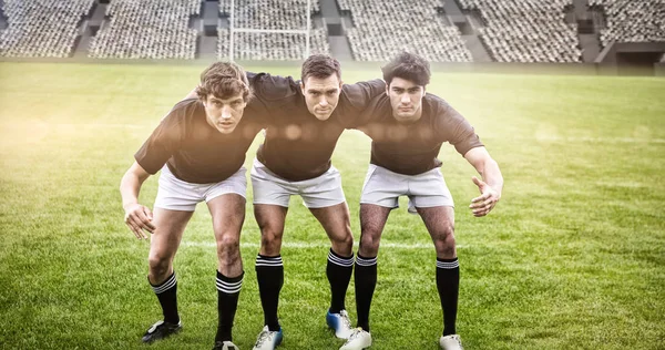 Rugby fans in de arena — Stockfoto