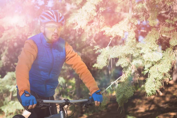 Horské cyklisty jedoucí na kole v lese — Stock fotografie