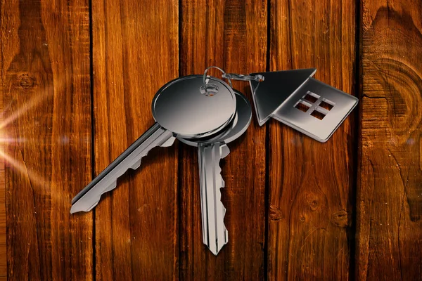 Klíče s domácí kroužkem — Stock fotografie