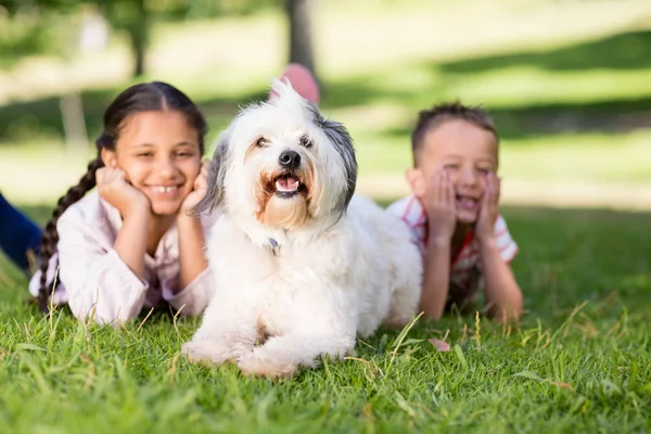 Porträtt av syskon ha roligt med sin hund — Stockfoto