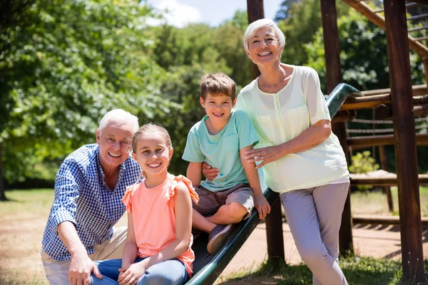 Portré, nagyszülők, unokák, a parkban játszó — Stock Fotó
