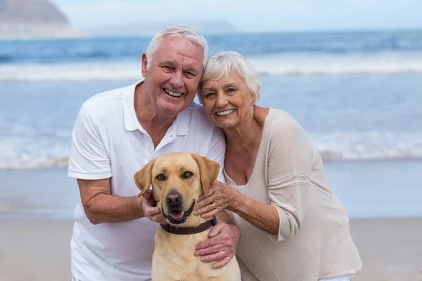 年长的夫妇和他们的狗在沙滩上玩 — 图库照片