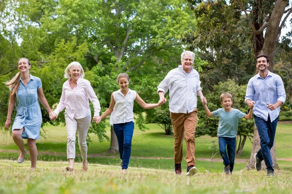 Flergenerations familj njuta av tillsammans i park — Stockfoto