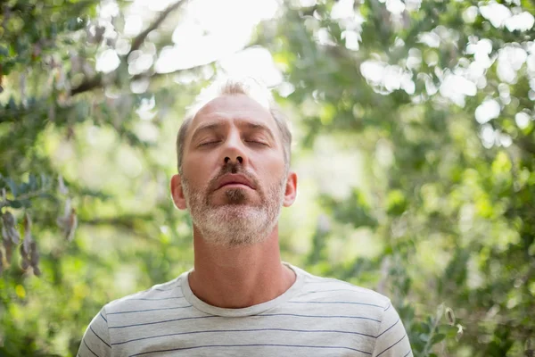 Man meditating against bright sunlight — Stock Photo, Image
