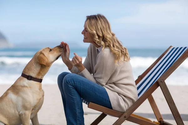 熟女彼女の犬をかわいがる — ストック写真