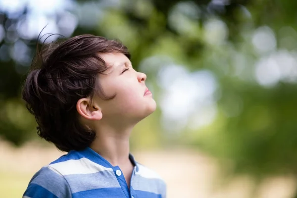 Ragazzo che guarda in su nel parco — Foto Stock