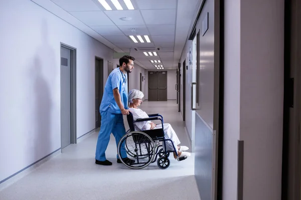 Врач толкает пожилого пациента на инвалидной коляске в палату — стоковое фото