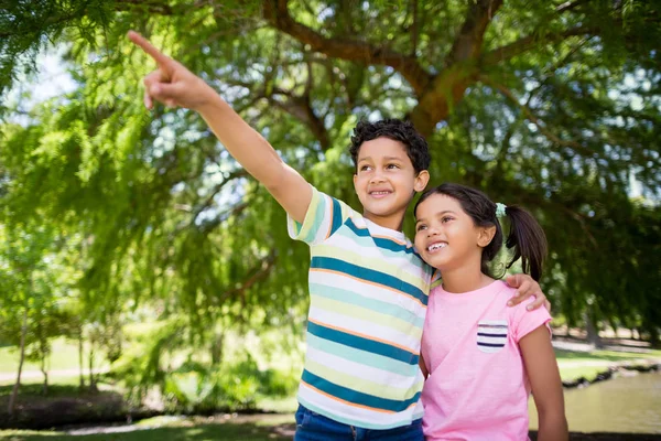 Hermanos señalando y mirando hacia el parque —  Fotos de Stock