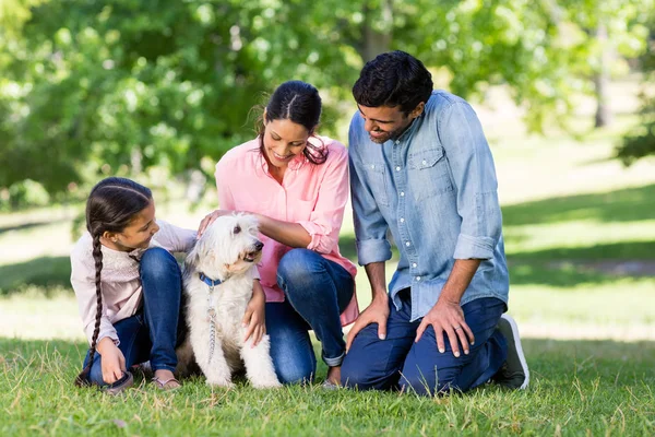Rodina se těší společně s jejich psa v parku — Stock fotografie