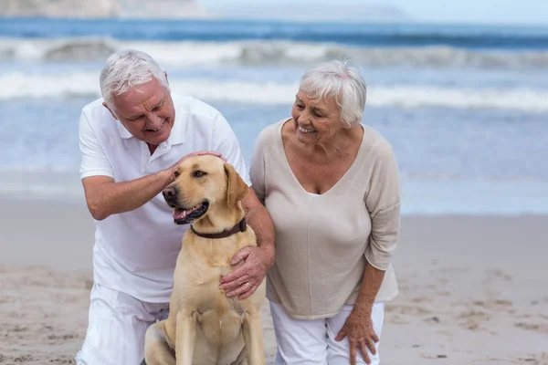 Seniorenpaar spielt mit Hund am Strand — Stockfoto