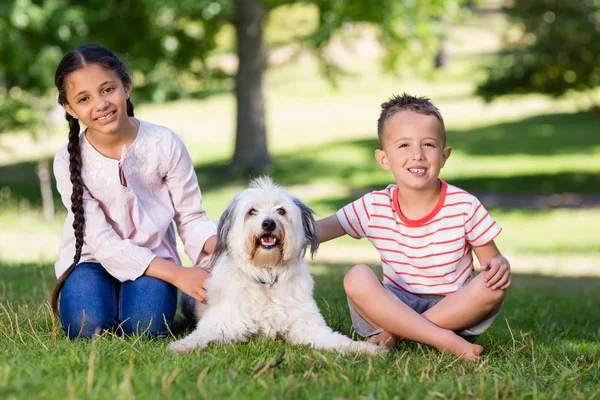 Rodzeństwo siedzi z ich psa w parku — Zdjęcie stockowe