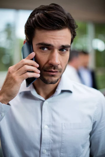 Cep telefonu üzerinde konuşurken erkek iş yürütme — Stok fotoğraf