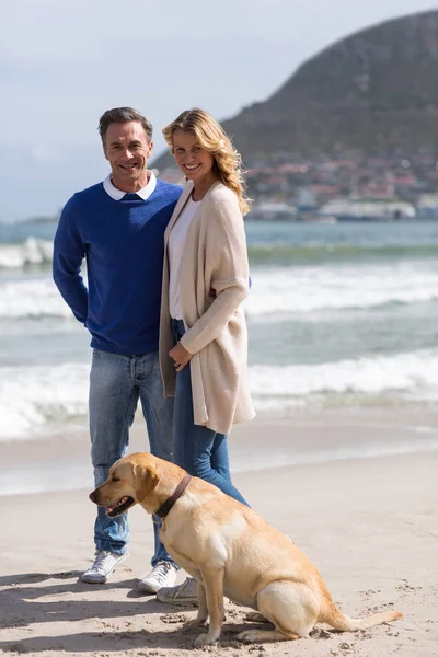 Mature couple on the beach with their dog — Stock Photo, Image