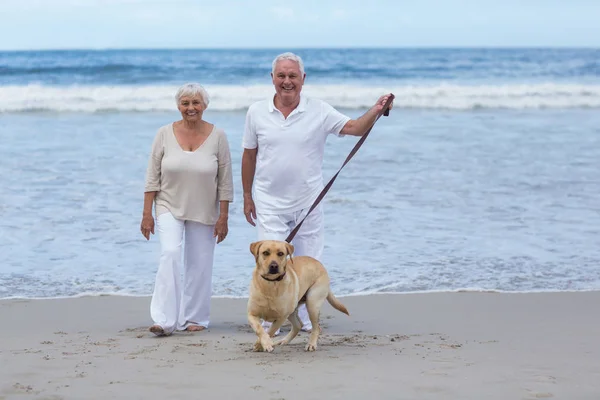 노인 부부가 개와 함께 해변을 걷고 있다 — 스톡 사진