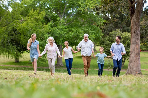 Multi-geração família desfrutando juntos no parque — Fotografia de Stock