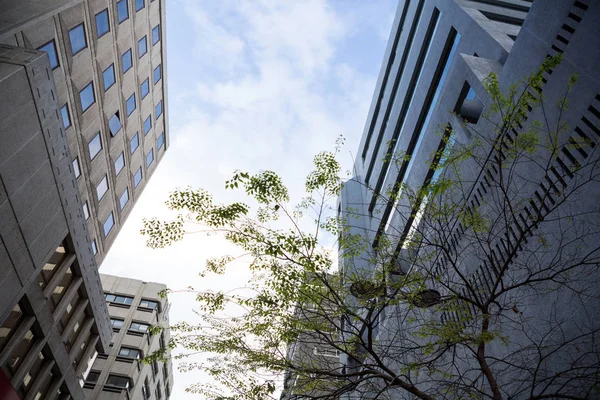 Vue de l'immeuble de bureaux — Photo