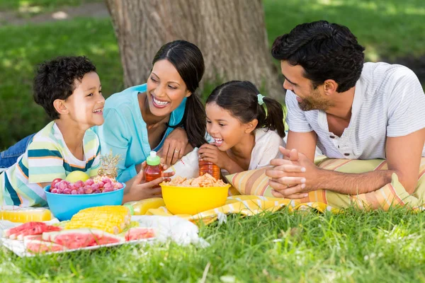 Famiglia felice godendo insieme nel parco — Foto Stock