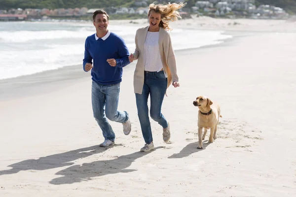 Pareja madura paseando por la playa con su perro — Foto de Stock