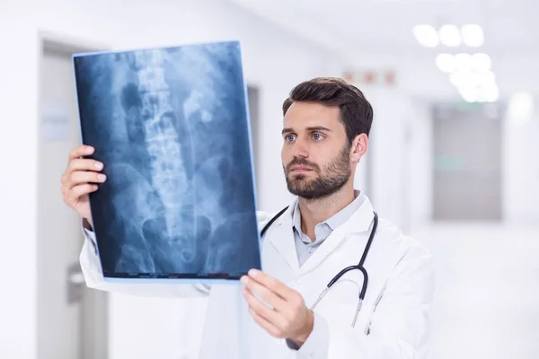 Médico masculino examinando rayos X —  Fotos de Stock