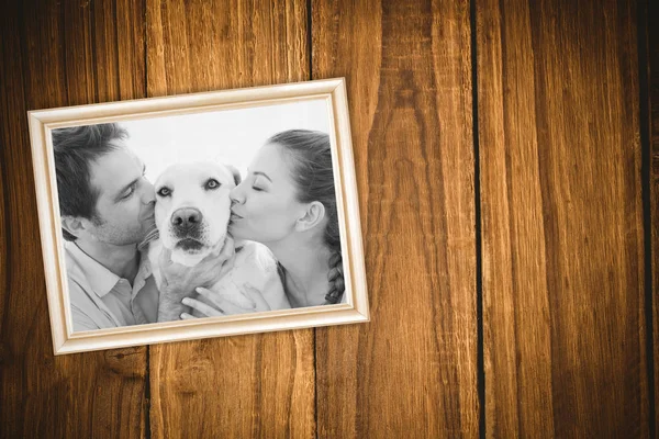 Casal beijando labrador no sofá — Fotografia de Stock