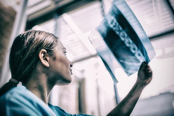 Nurse examining X-ray report — Stock Photo, Image