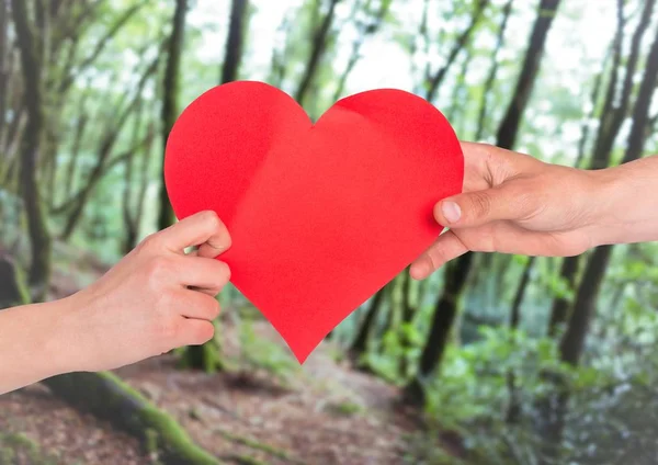 Manos de pareja sosteniendo el corazón rojo —  Fotos de Stock