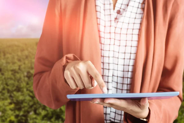 Image composite d'une femme d'affaires utilisant une tablette contre un champ vert — Photo