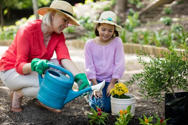 Jardinería de abuela y nieta — Foto de Stock