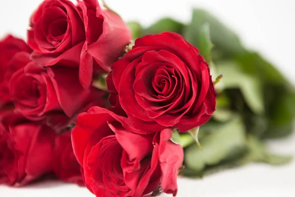 Bouquet de roses rouges — Photo