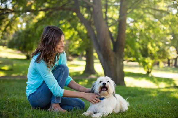 Женщина с собакой в парке — стоковое фото