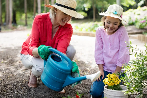 Grootmoeder en kleindochter tuinieren — Stockfoto