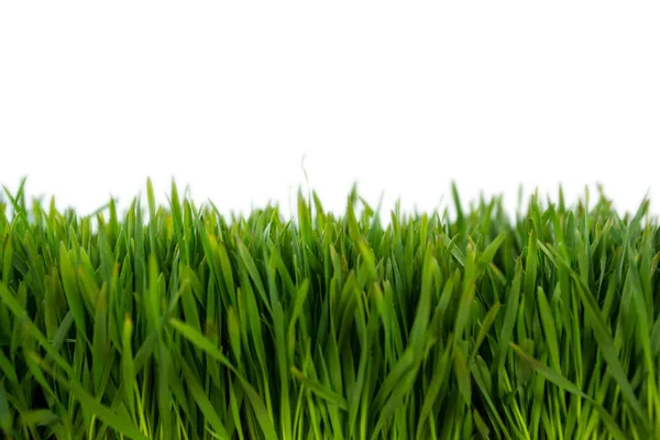 Close-up of grass mat — Stock Photo, Image