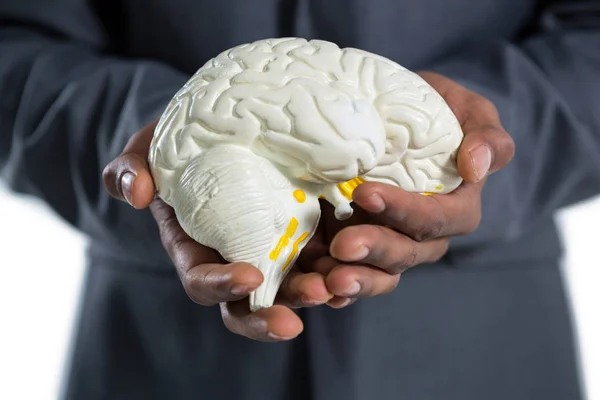 Businessman holding anatomy brain — Stock Photo, Image