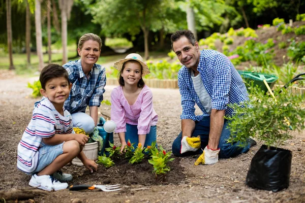 Família feliz jardinagem juntos — Fotografia de Stock