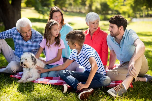 Gelukkige familie genieten in park — Stockfoto
