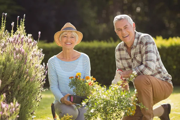 Senior pareja jardinería juntos — Foto de Stock