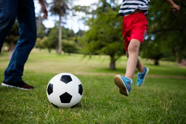 Baba ve oğul futbol oynarken düşük bölümü — Stok fotoğraf