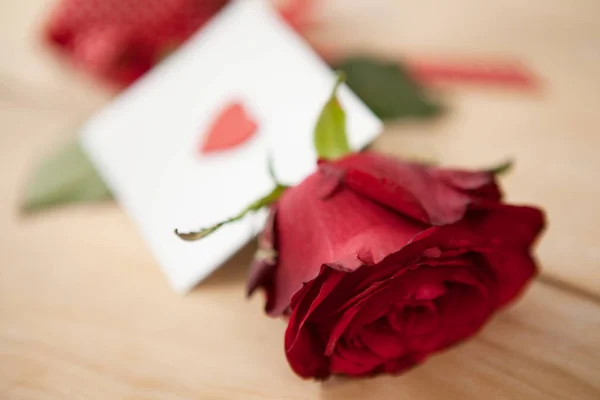 Красная роза, завернутая в ленту — стоковое фото