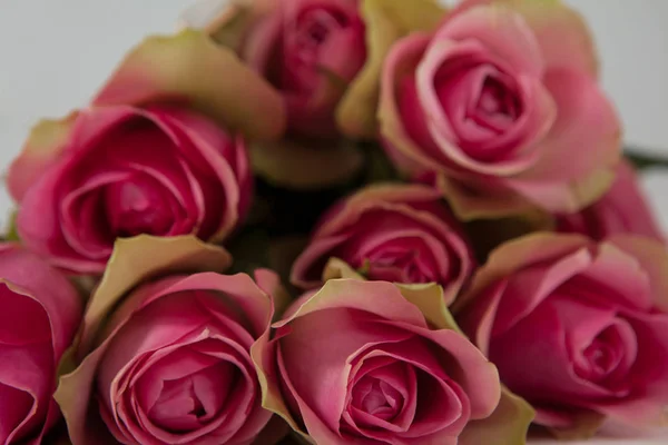Bos van roze rozen — Stockfoto