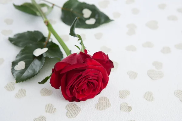 Rose entourée de décoration en forme de coeur — Photo
