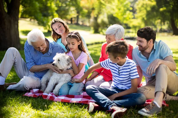 Famiglia felice godendo nel parco — Foto Stock